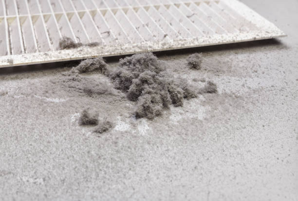 Best Dryer Vent Cleaning Services  in Miller, SD